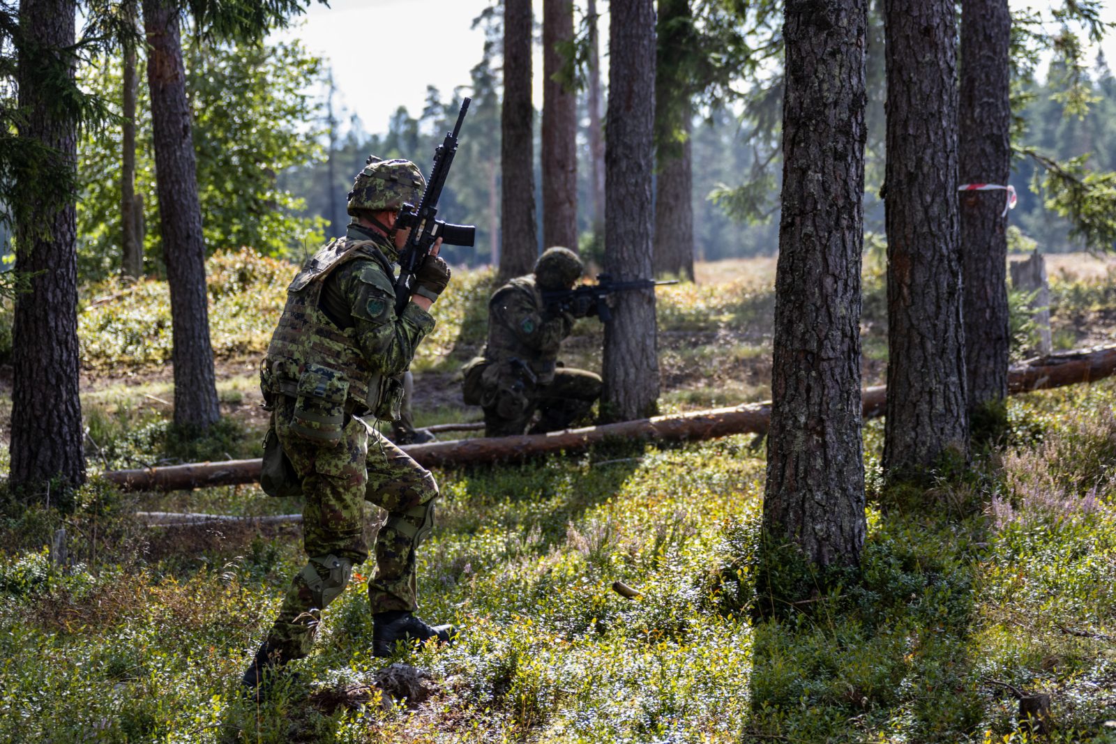 Kose malevkonna võitleja