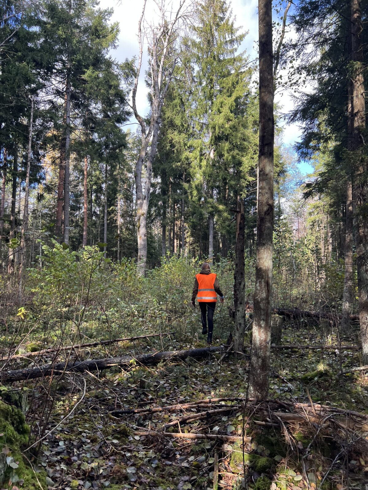 Rae naiskodukaitsja jalutab metsas